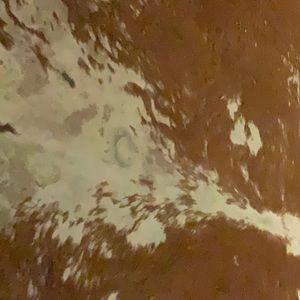 Meet your Posher, Cappy